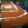 SGCC Hot Dipped Color Coated Steel Coil